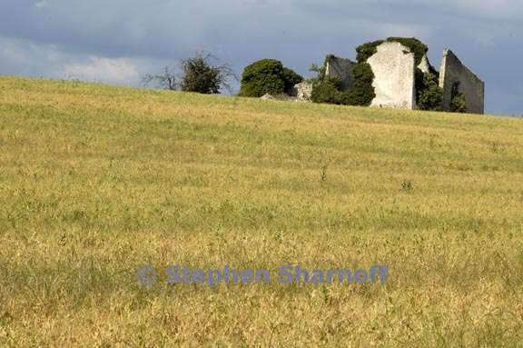 field and ruin graphic